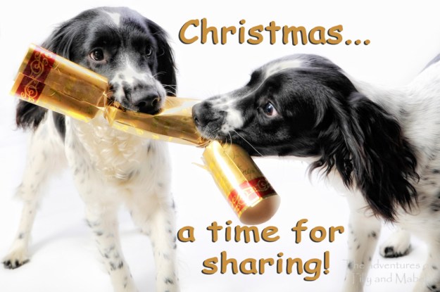 _BST8485-Edit-Edit copy