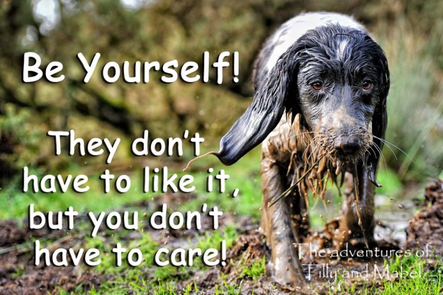 CST_2035-Edit-5-Edit copy